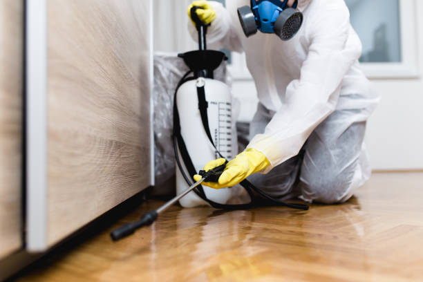 Best Affordable Pest Control Services  in Deland Southwest, FL