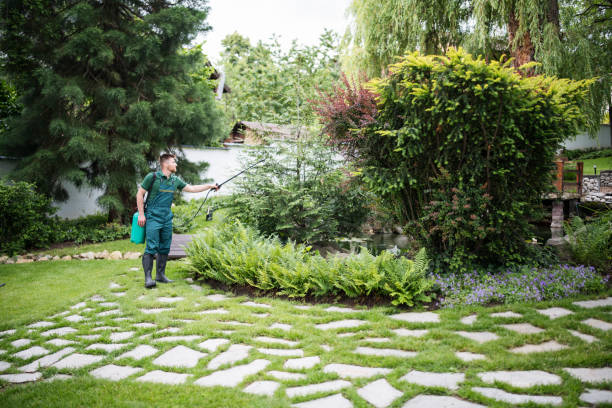 Best Affordable Pest Control Services  in Deland Southwest, FL