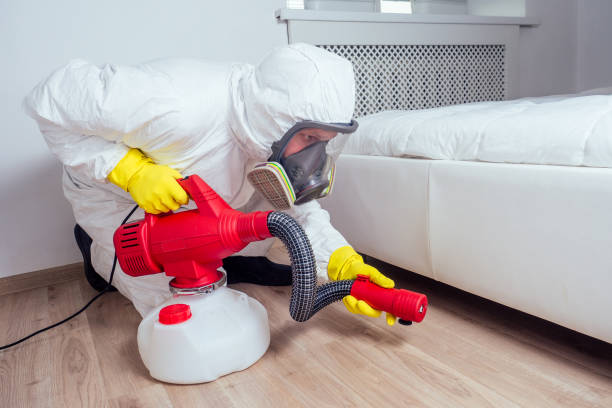 Best Insect Control  in Deland Southwest, FL