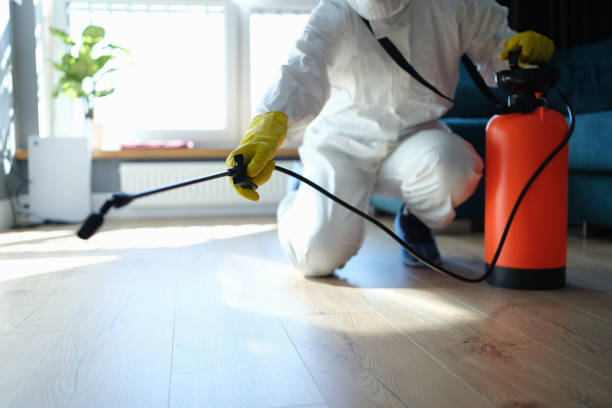 Pest Prevention Services in Deland Southwest, FL