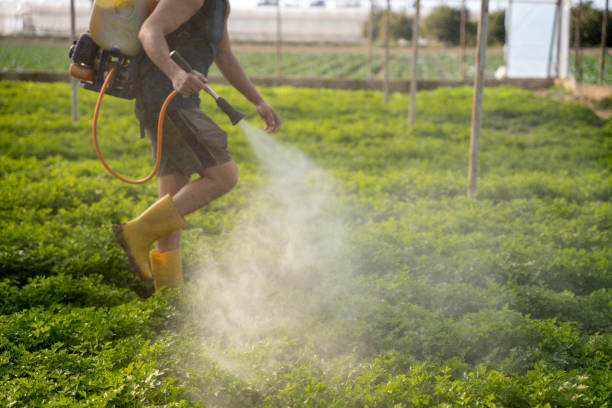 Best Pest Prevention Services  in Deland Southwest, FL