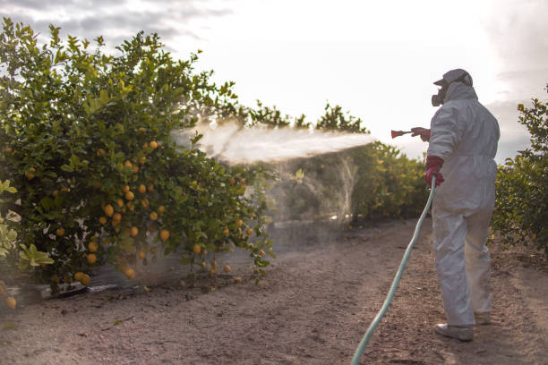 Best Pest Control Treatment  in Deland Southwest, FL