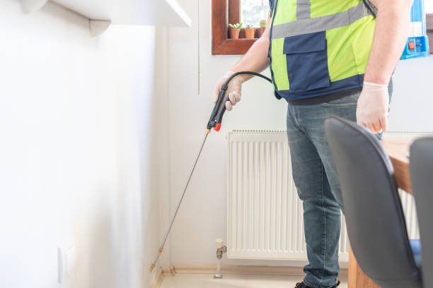 Best Wasp Removal Services  in Deland Southwest, FL