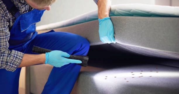 Flea Control Services in Deland Southwest, FL