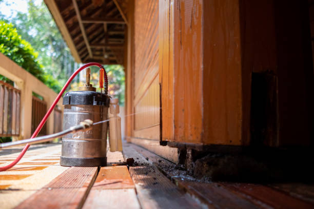 Best Wasp Removal Services  in Deland Southwest, FL