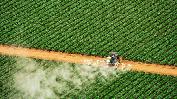 Best Local Pest Control Services  in Deland Southwest, FL