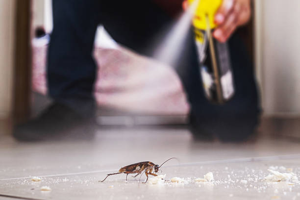 Best Residential Pest Control  in Deland Southwest, FL