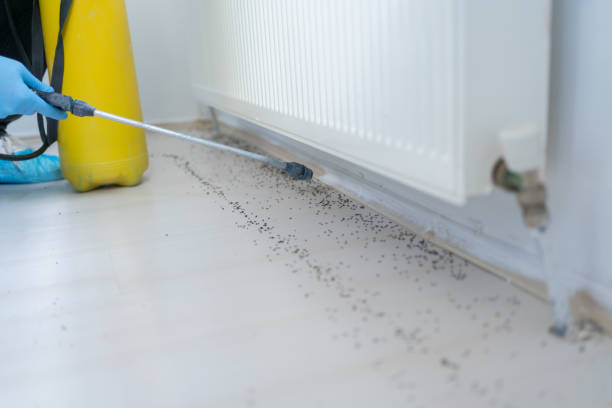 Best Bed Bug Extermination  in Deland Southwest, FL